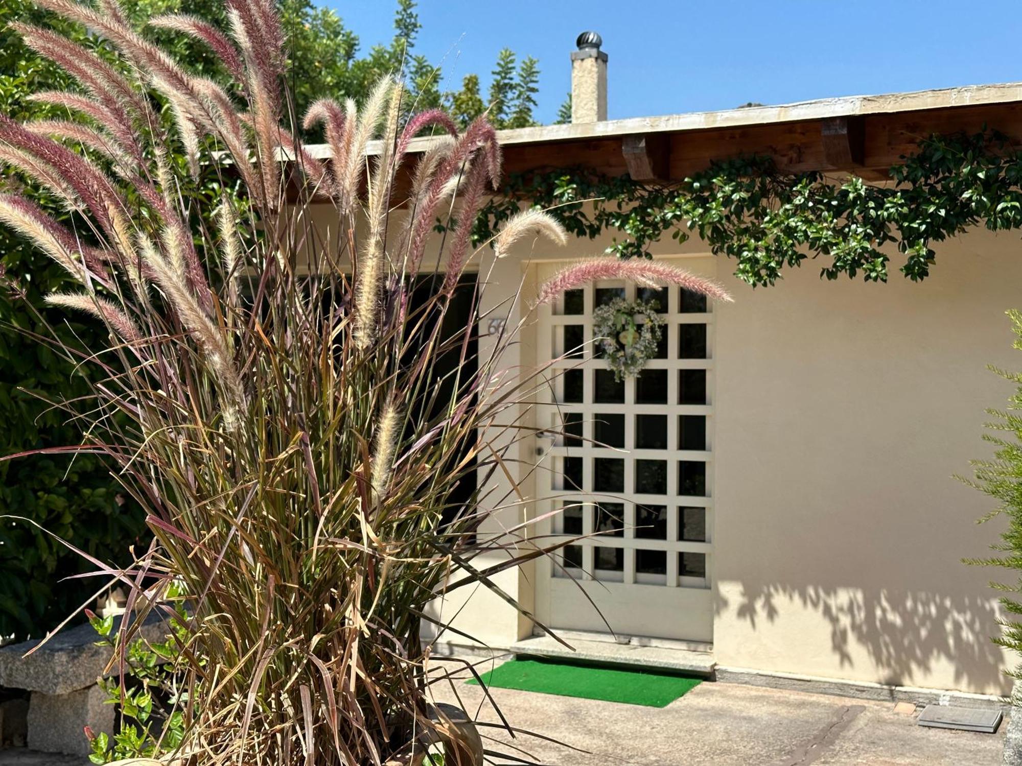 Villa Niloan أولبيا المظهر الخارجي الصورة