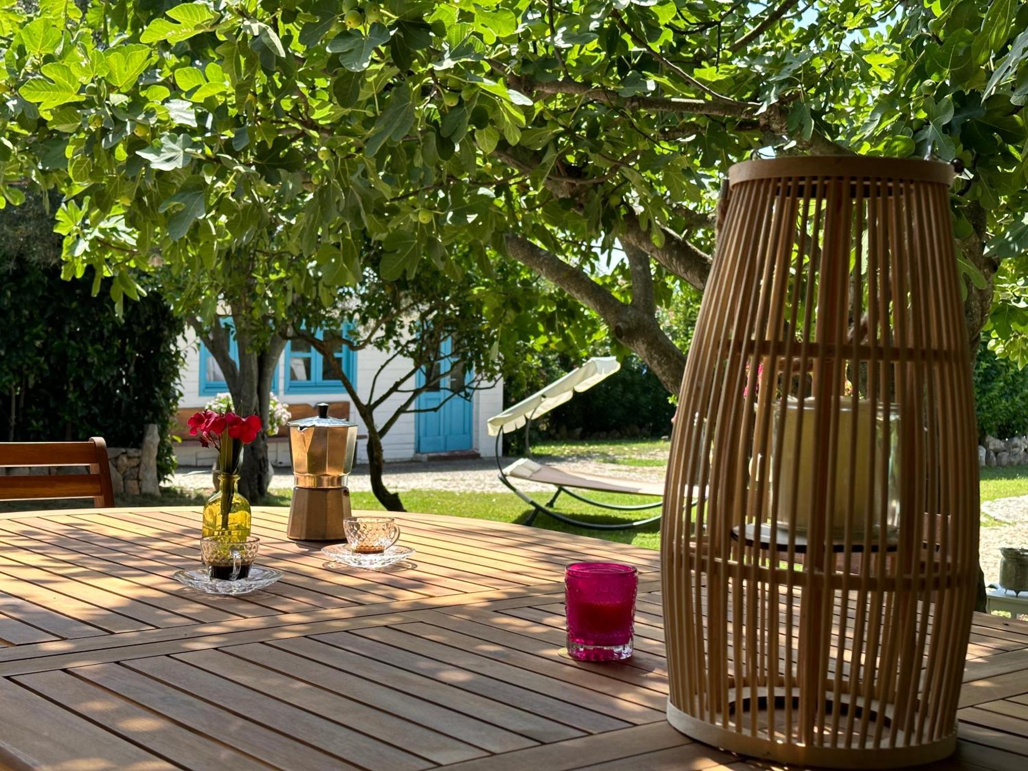 Villa Niloan أولبيا المظهر الخارجي الصورة