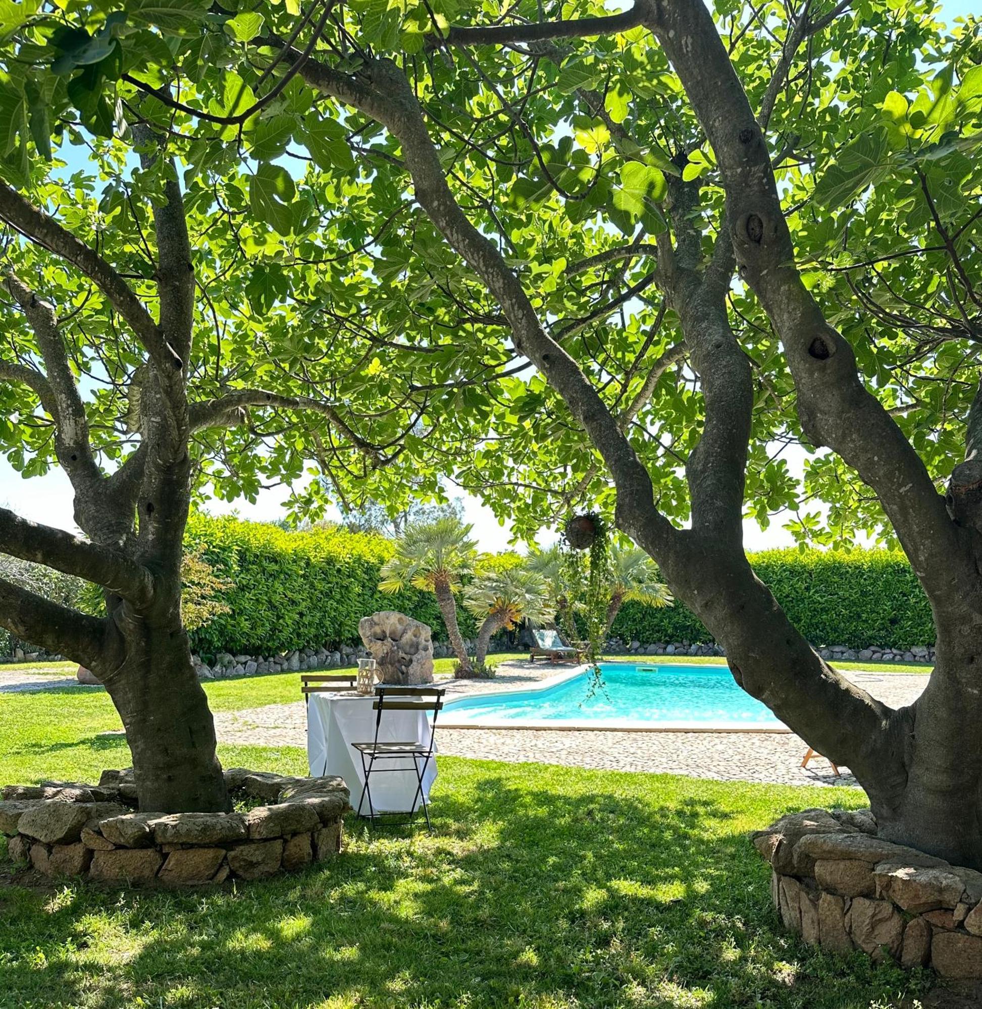 Villa Niloan أولبيا المظهر الخارجي الصورة